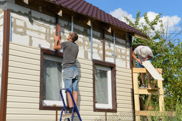 Best Brick Veneer Siding  in Manchester, IA