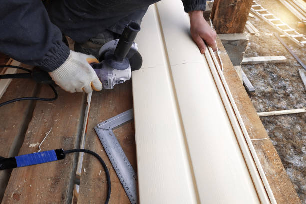 Best Vinyl Siding Installation  in Manchester, IA